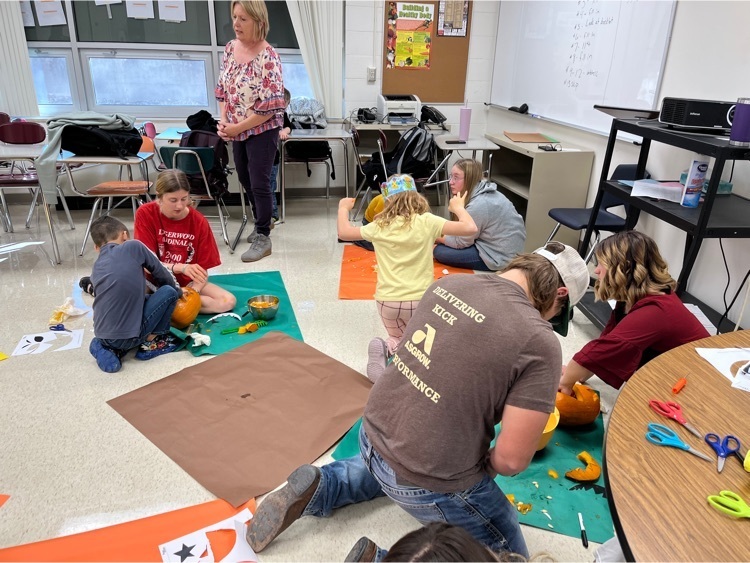 Live Feed Lidgerwood Public School