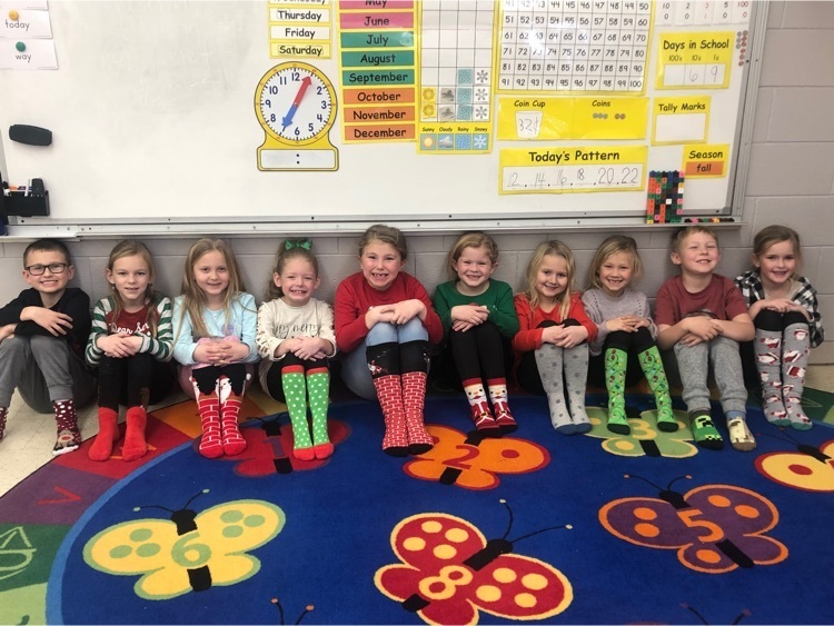 Live Feed Lidgerwood Public School