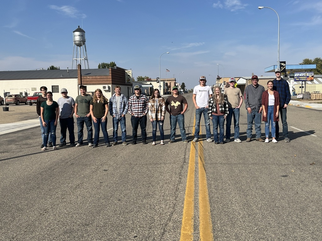 Live Feed Lidgerwood Public School