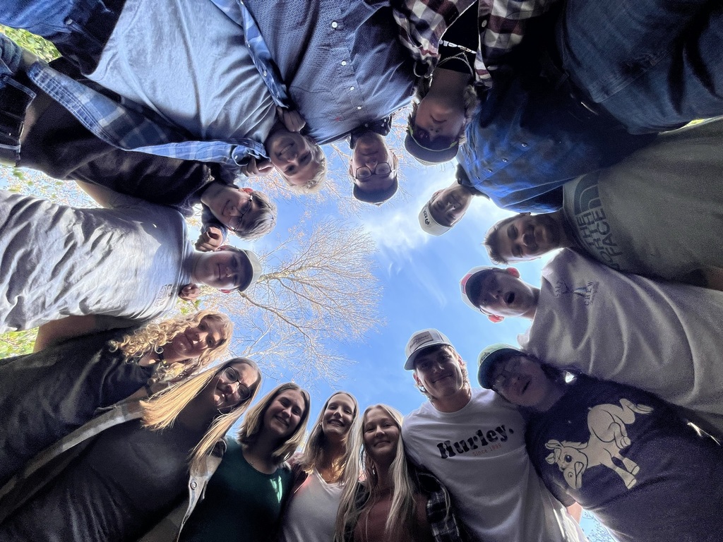 Live Feed Lidgerwood Public School