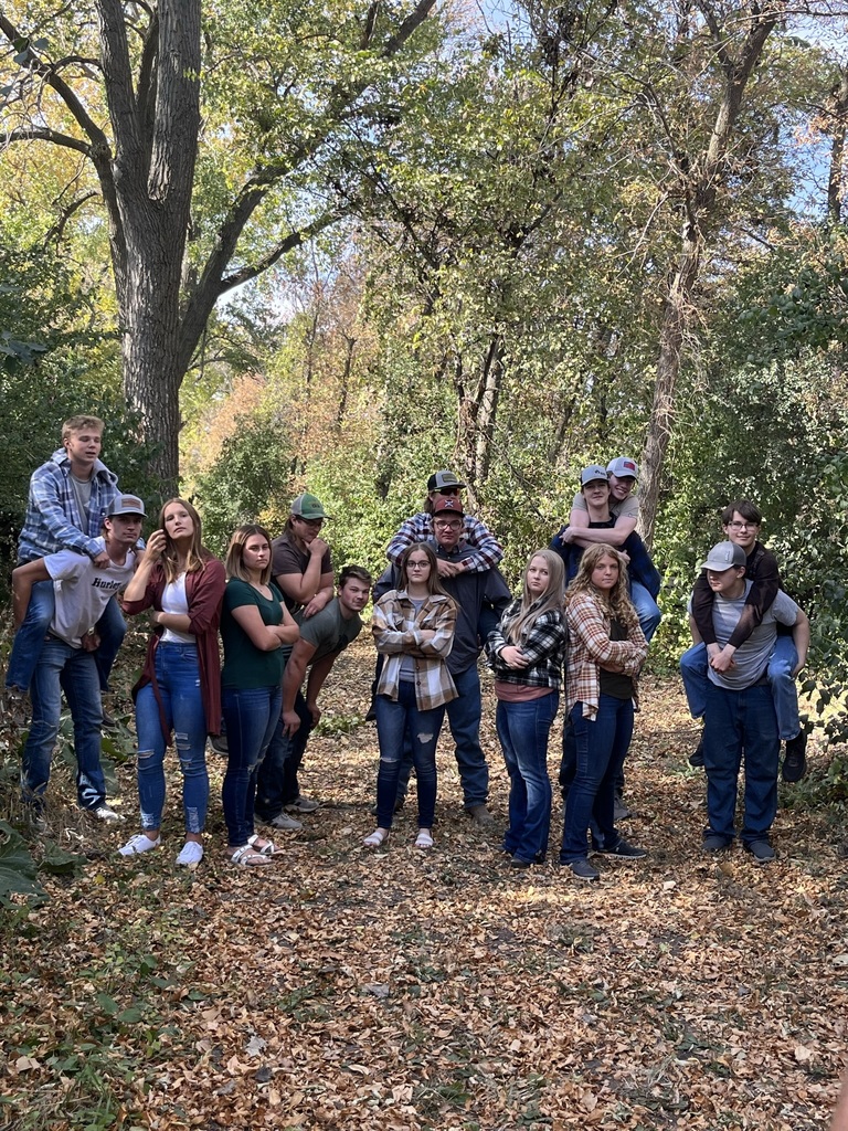 Live Feed Lidgerwood Public School